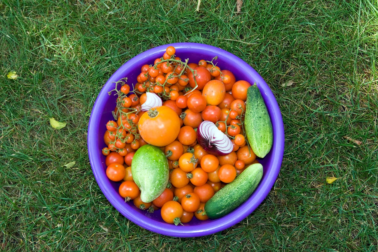 hero-img-01 Colorful assortment of fresh vegetables in a purple bowl on grass, showcasing garden freshness.