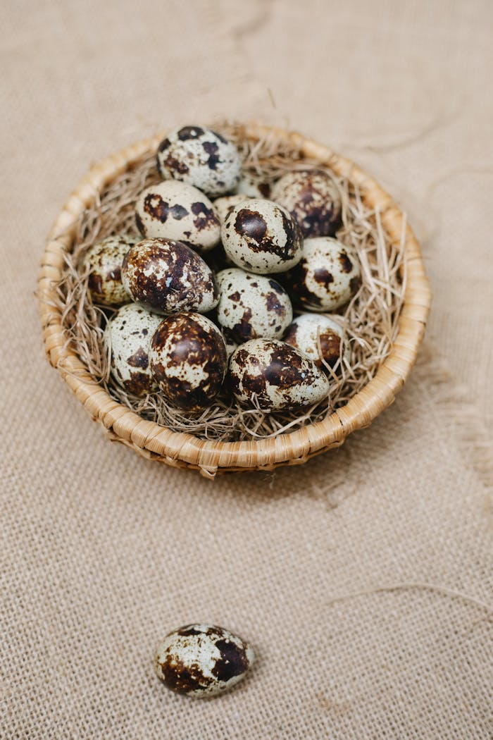 gallery-6 Close-up of quail eggs in a wicker basket placed on a burlap surface, highlighting their unique speckled pattern.